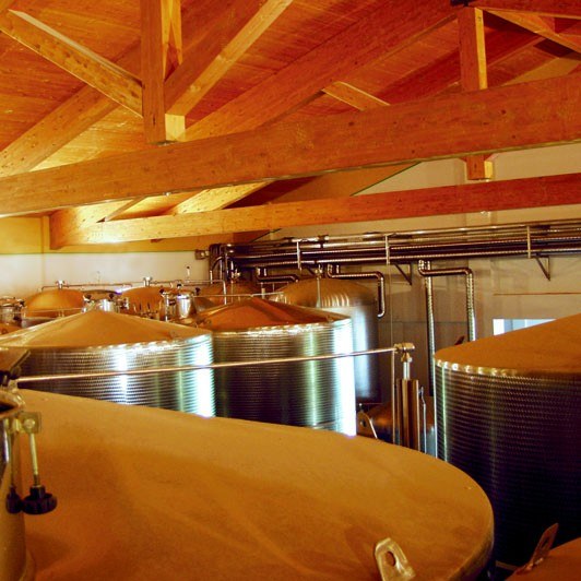La sala di vinificazione con capriate in legno e vasche d’acciaio