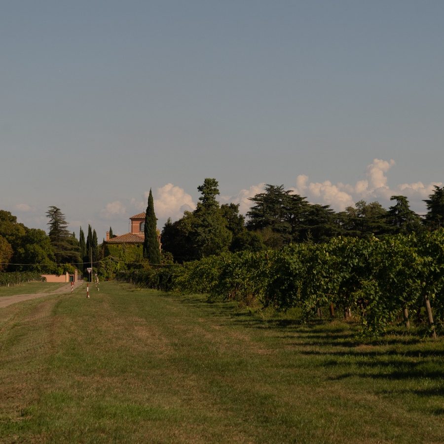 La villa storica fra gli alberi e i vigneti, nella luce del tramonto